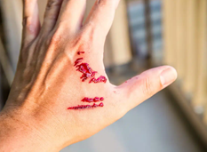 moreton01.jpg (207231 bytes)